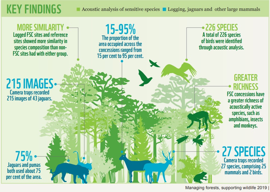 Key Findings WWF report managing forest supporting Wildlife 2019