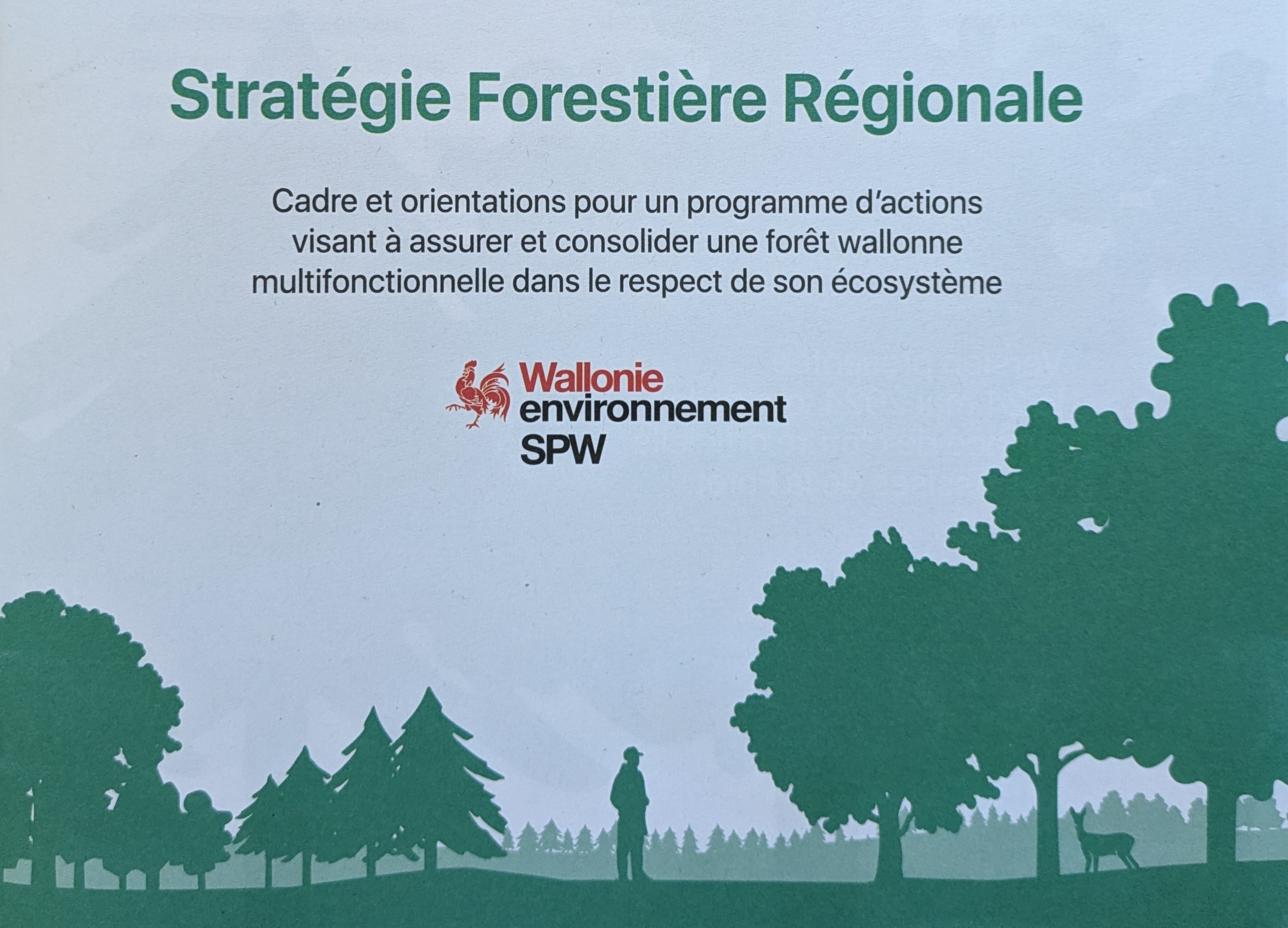 Stratégie Forestière pour les forêts wallonnes 