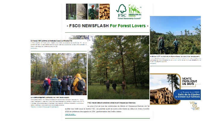 Newsletter For Forest Lovers'