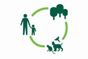 Multifunctional forest including ecosystem services