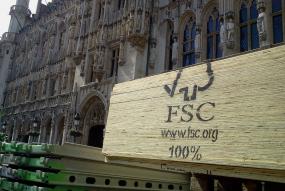 FSC boards in construction project