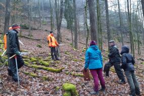 FSC FM audit in the forest
