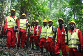 forest workers in the congobasin