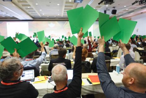 Voting at the FSC GA 2017