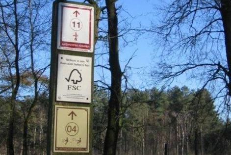 FSC sign in Flemish forest