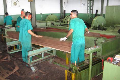 workers in sawmill