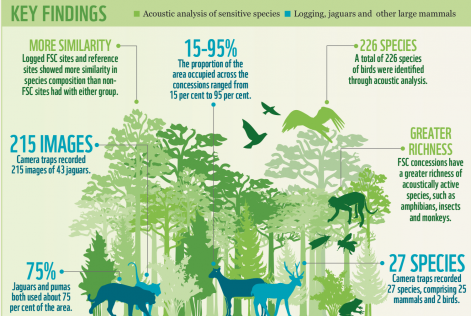 Infographic biodiversity research by sound in Peruvian Amazon