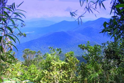 Deramakot Forest Reserve