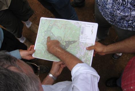 forest map in the field