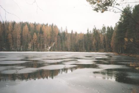 Forest lake Scandinavia