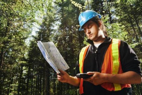 Forest inventory, planning and mapping