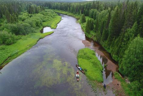 Dvinsko-pinezhskiy Intact Forest Landscape Russia(c) Igor Shpilenok.jpg