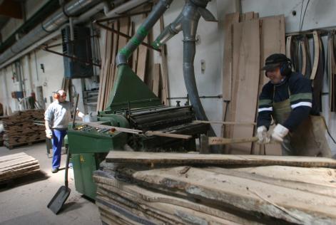processing timber | wood industry