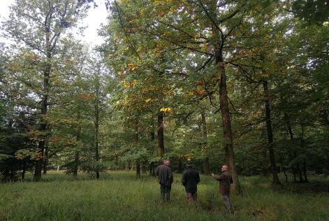 Arrêt dans une zone humide d’intérêt biologique et discussion sur les mesures prises