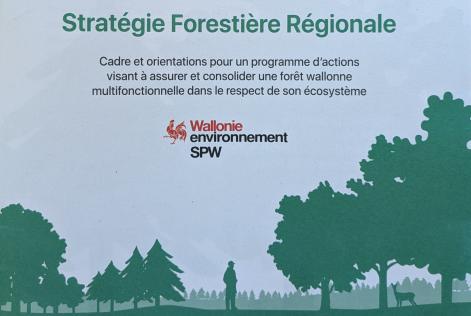 strategie forestiere regionale wallonie