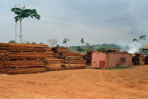 lumber yard in tropical country