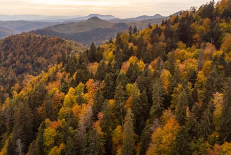Maramures, Romania