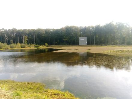 water bodies and recreation at Bulskampveld 