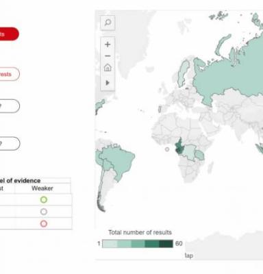 impact dashboard FSC forest certification