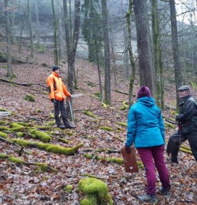 FSC FM audit in the forest