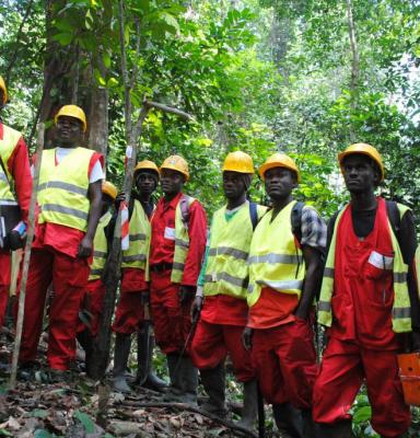 forest workers in the congobasin