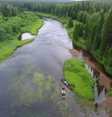 Dvinsko-pinezhskiy Intact Forest Landscape Russia(c) Igor Shpilenok.jpg