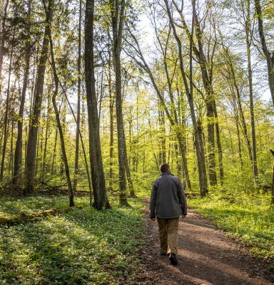Person in forest