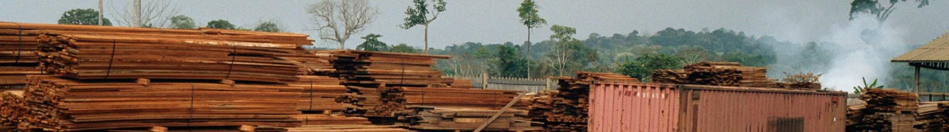 lumber yard in tropical country