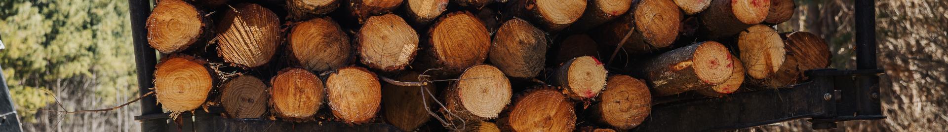 Wood pile