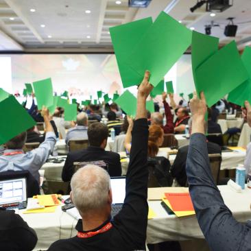 Voting at the FSC GA 2017