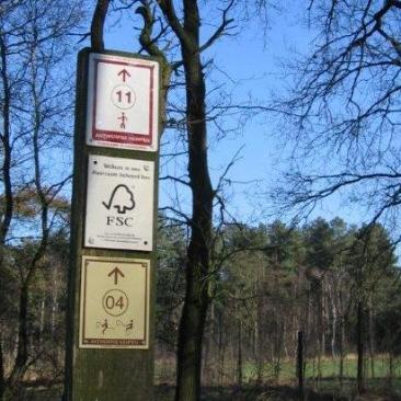 FSC sign in Flemish forest