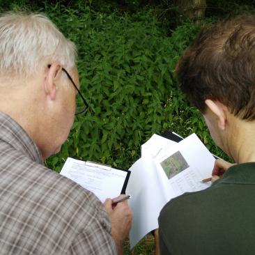 Auditing of SylvaNova