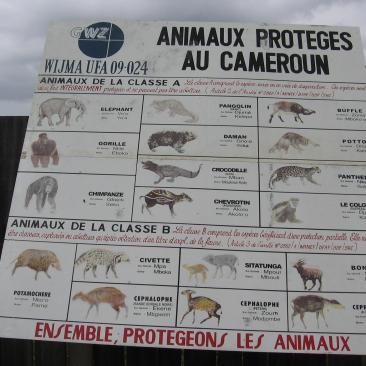 Proteger les animaux