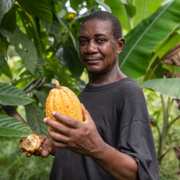 SDG02_FoodFromTheForest