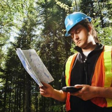 Forest inventory, planning and mapping