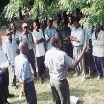 consultation and participation