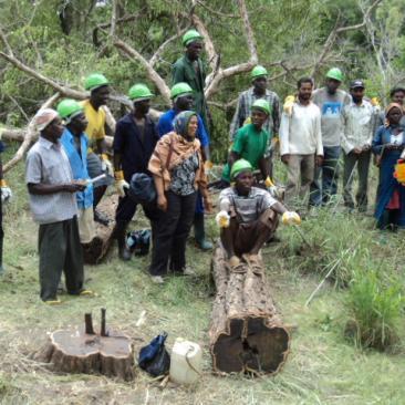 local population tanzania blackwood harvest
