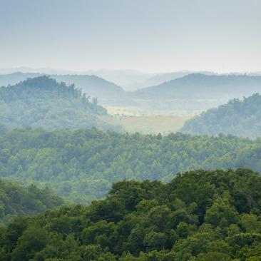 forests of Eastern Appalachia USA