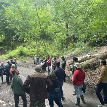 FSC Belgium GA 2024 - field visit forest